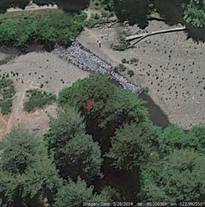 Bull Creek Giant Tree area - tree to fall marked with X. (Image from Google Earth)